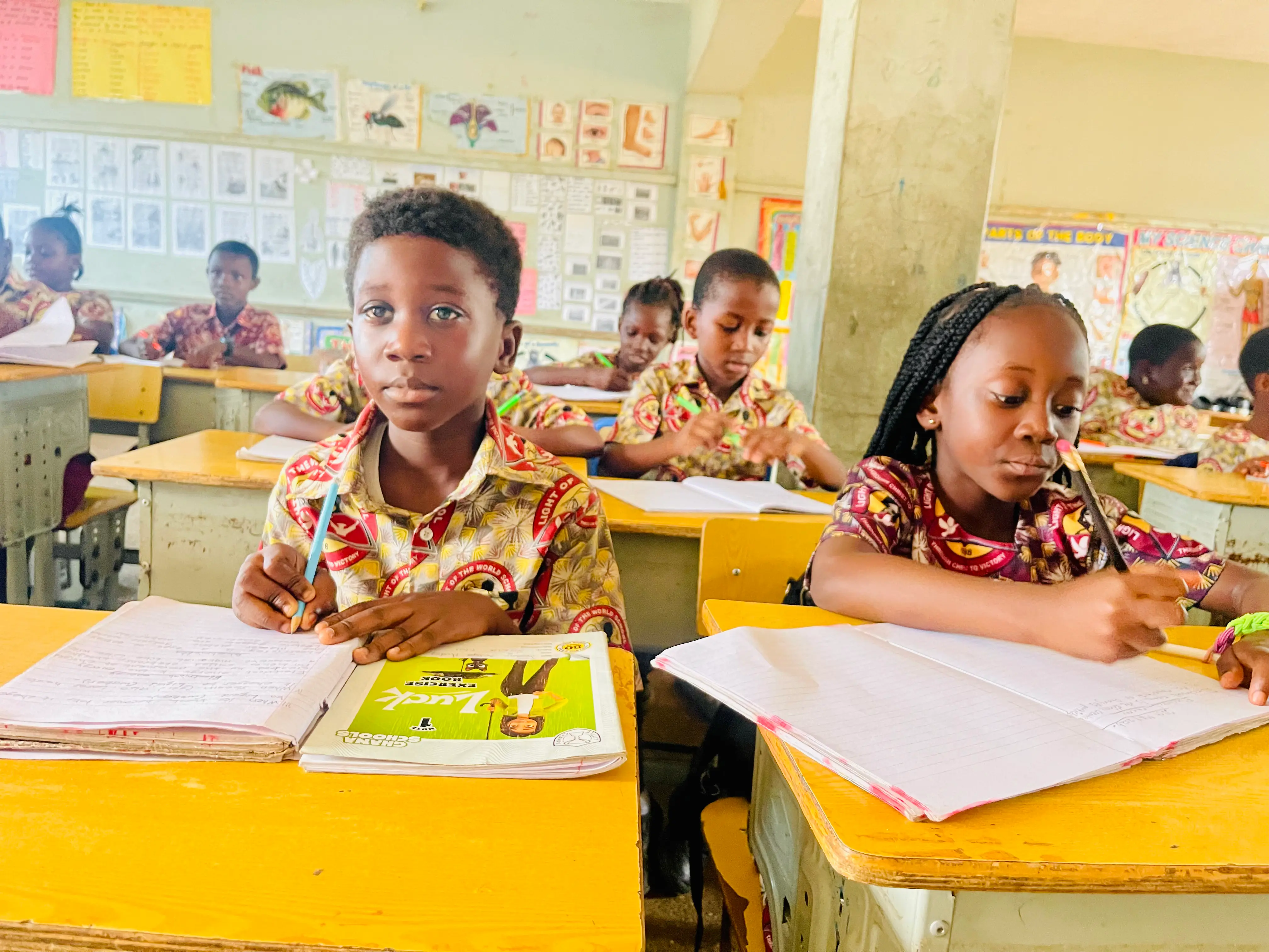 Primary School Learning